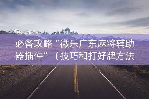 必备攻略“微乐广东麻将辅助器插件”（技巧和打好牌方法)
