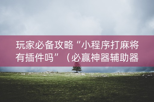 玩家必备攻略“小程序打麻将有插件吗”（必赢神器辅助器)