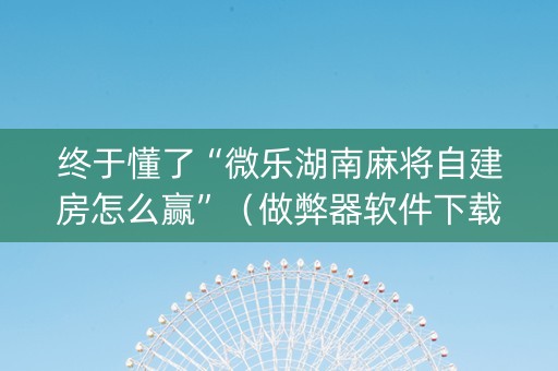 终于懂了“微乐湖南麻将自建房怎么赢”（做弊器软件下载)