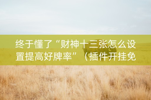 终于懂了“财神十三张怎么设置提高好牌率”（插件开挂免费AI)