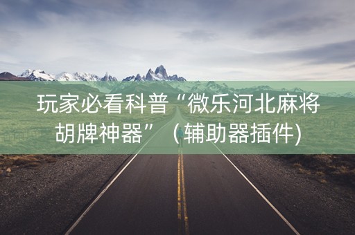 玩家必看科普“微乐河北麻将胡牌神器”（辅助器插件)