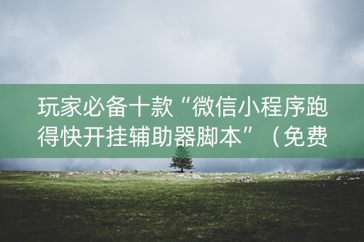 玩家必备十款“微信小程序跑得快开挂辅助器脚本”（免费辅助)