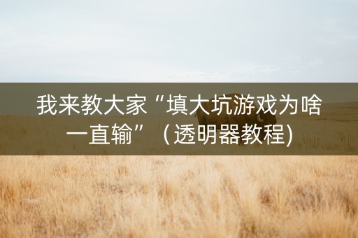 我来教大家“填大坑游戏为啥一直输”（透明器教程)