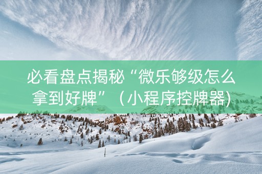 必看盘点揭秘“微乐够级怎么拿到好牌”（小程序控牌器)