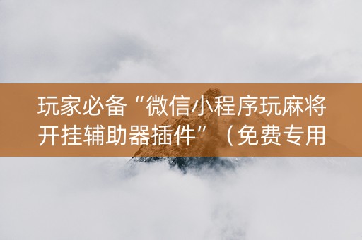 玩家必备“微信小程序玩麻将开挂辅助器插件”（免费专用神器)