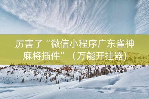 厉害了“微信小程序广东雀神麻将插件”（万能开挂器)