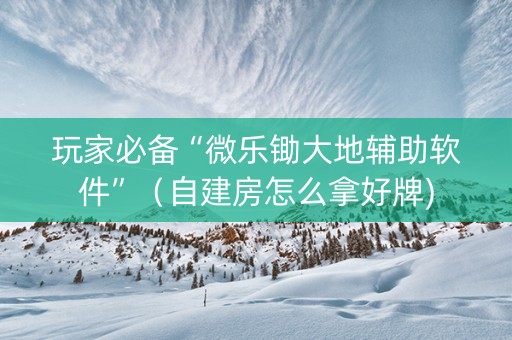 玩家必备“微乐锄大地辅助软件”（自建房怎么拿好牌)