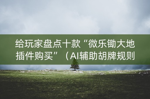 给玩家盘点十款“微乐锄大地插件购买”（AI辅助胡牌规则)