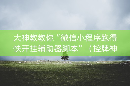 大神教教你“微信小程序跑得快开挂辅助器脚本”（控牌神器)