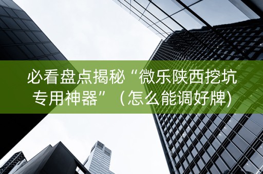 必看盘点揭秘“微乐陕西挖坑专用神器”（怎么能调好牌)