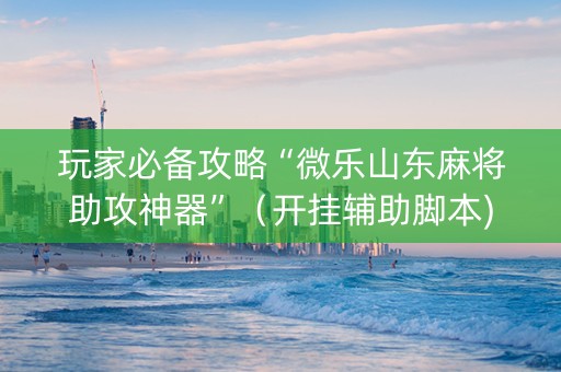 玩家必备攻略“微乐山东麻将助攻神器”（开挂辅助脚本)