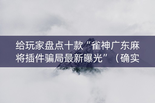 给玩家盘点十款“雀神广东麻将插件骗局最新曝光”（确实有插件吗)