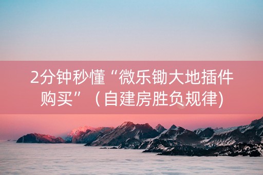 2分钟秒懂“微乐锄大地插件购买”（自建房胜负规律)