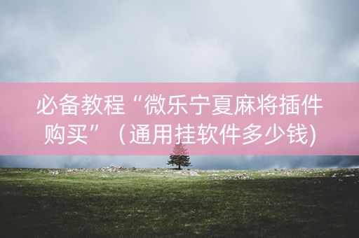 必备教程“微乐宁夏麻将插件购买”（通用挂软件多少钱)