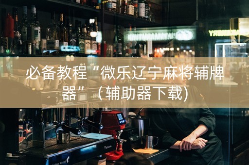 必备教程“微乐辽宁麻将辅牌器”（辅助器下载)
