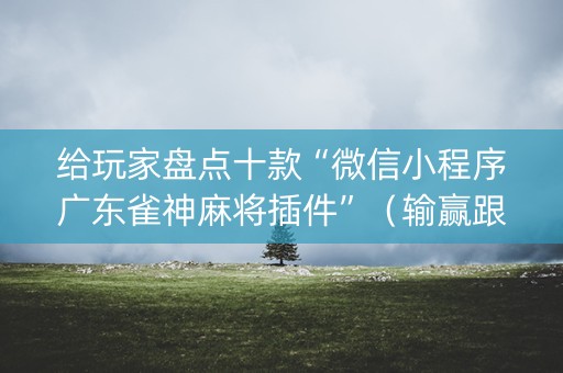 给玩家盘点十款“微信小程序广东雀神麻将插件”（输赢跟id号有关系吗)