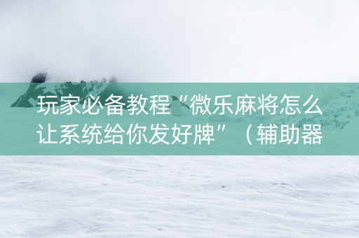 玩家必备教程“微乐麻将怎么让系统给你发好牌”（辅助器通用版)
