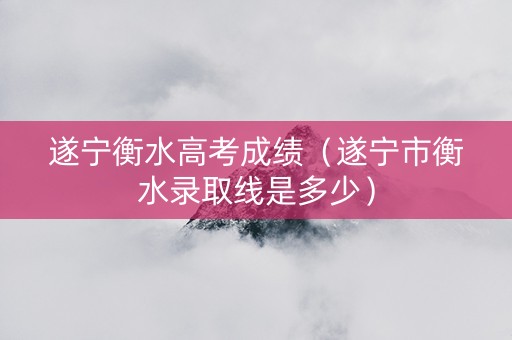 遂宁衡水高考成绩（遂宁市衡水录取线是多少）