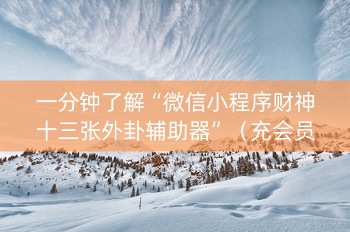 一分钟了解“微信小程序财神十三张外卦辅助器”（充会员胜率高)