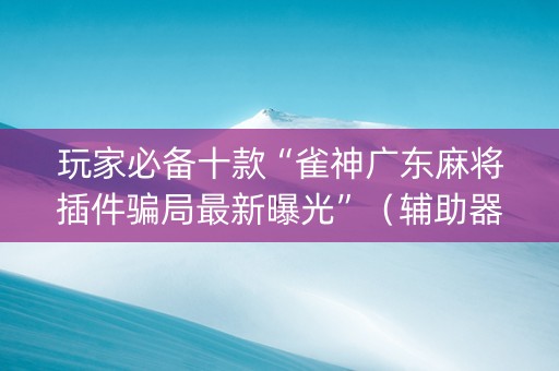 玩家必备十款“雀神广东麻将插件骗局最新曝光”（辅助器通用版)