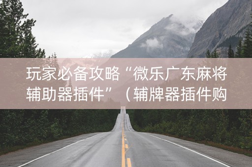 玩家必备攻略“微乐广东麻将辅助器插件”（辅牌器插件购买)