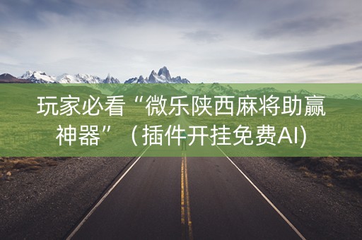 玩家必看“微乐陕西麻将助赢神器”（插件开挂免费AI)
