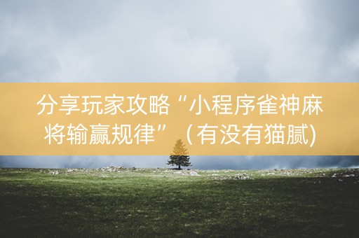 分享玩家攻略“小程序雀神麻将输赢规律”（有没有猫腻)