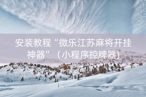 安装教程“微乐江苏麻将开挂神器”（小程序控牌器)