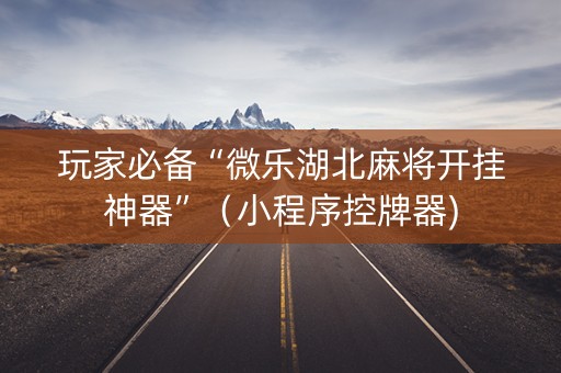 玩家必备“微乐湖北麻将开挂神器”（小程序控牌器)
