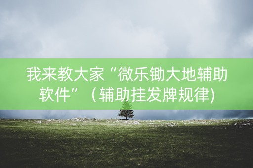 我来教大家“微乐锄大地辅助软件”（辅助挂发牌规律)