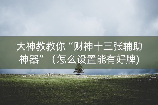 大神教教你“财神十三张辅助神器”（怎么设置能有好牌)