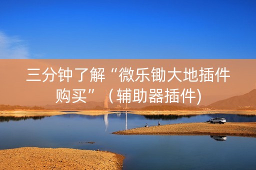 三分钟了解“微乐锄大地插件购买”（辅助器插件)