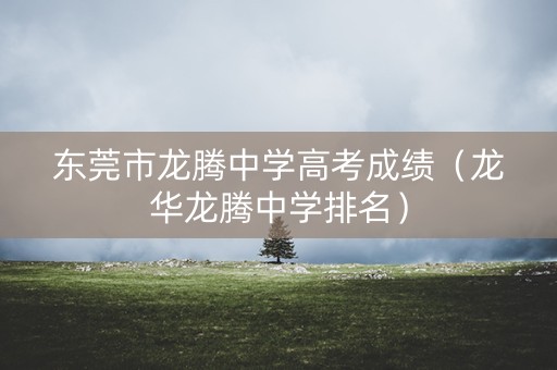 东莞市龙腾中学高考成绩（龙华龙腾中学排名）