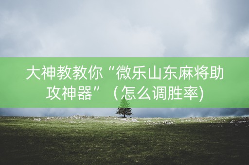 大神教教你“微乐山东麻将助攻神器”（怎么调胜率)