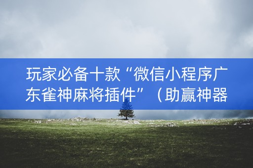 玩家必备十款“微信小程序广东雀神麻将插件”（助赢神器)