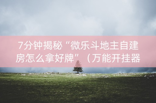 7分钟揭秘“微乐斗地主自建房怎么拿好牌”（万能开挂器)