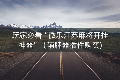 玩家必看“微乐江苏麻将开挂神器”（辅牌器插件购买)