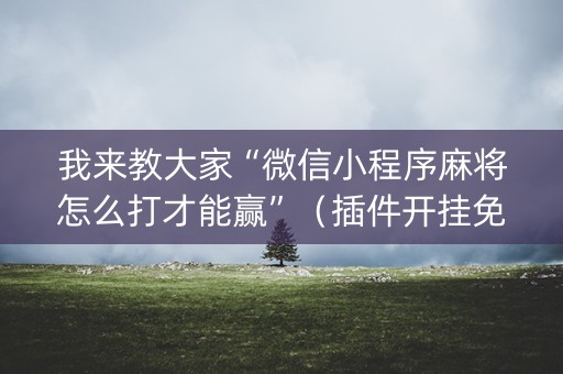 我来教大家“微信小程序麻将怎么打才能赢”（插件开挂免费AI)