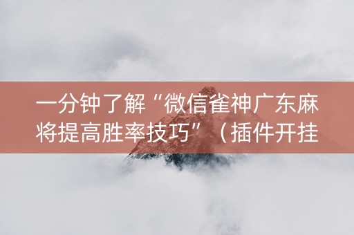 一分钟了解“微信雀神广东麻将提高胜率技巧”（插件开挂免费AI)
