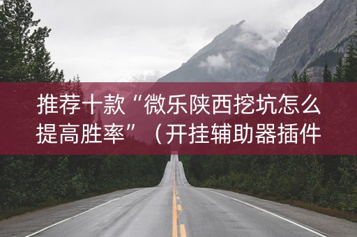 推荐十款“微乐陕西挖坑怎么提高胜率”（开挂辅助器插件)