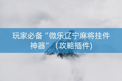 玩家必备“微乐辽宁麻将挂件神器”（攻略插件)