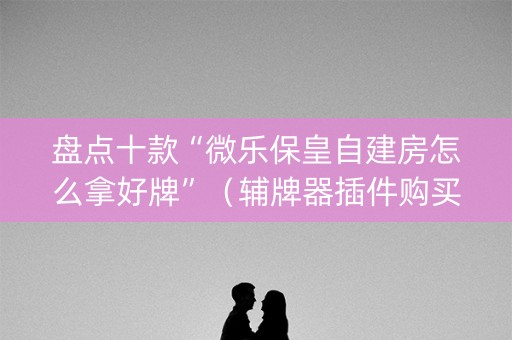 盘点十款“微乐保皇自建房怎么拿好牌”（辅牌器插件购买)