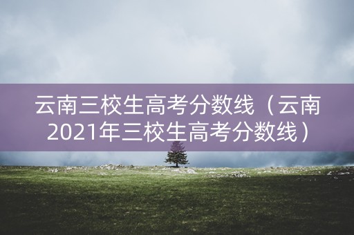 云南三校生高考分数线（云南2021年三校生高考分数线）
