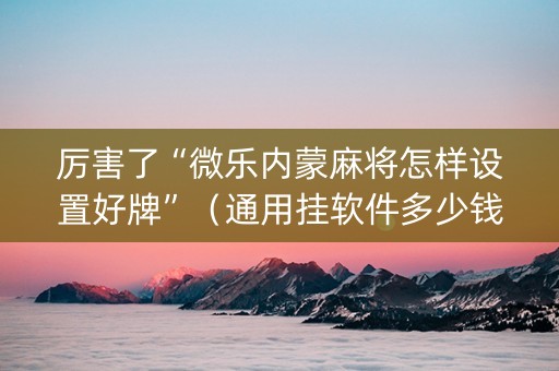 厉害了“微乐内蒙麻将怎样设置好牌”（通用挂软件多少钱)