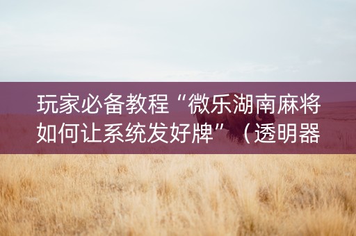 玩家必备教程“微乐湖南麻将如何让系统发好牌”（透明器教程)