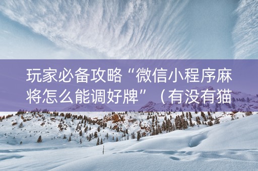 玩家必备攻略“微信小程序麻将怎么能调好牌”（有没有猫腻)