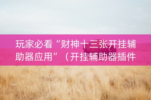 玩家必看“财神十三张开挂辅助器应用”（开挂辅助器插件)
