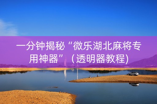 一分钟揭秘“微乐湖北麻将专用神器”（透明器教程)