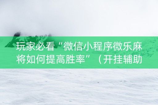 玩家必看“微信小程序微乐麻将如何提高胜率”（开挂辅助器脚本)