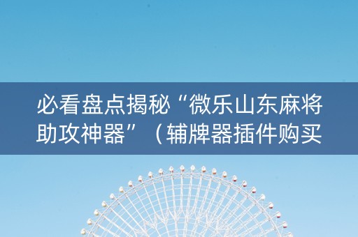 必看盘点揭秘“微乐山东麻将助攻神器”（辅牌器插件购买)